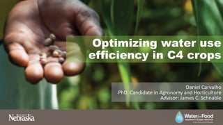 Optimizing water use
efficiency in C4 crops
Daniel Carvalho
PhD. Candidate in Agronomy and Horticulture
Advisor: James C. Schnable
 