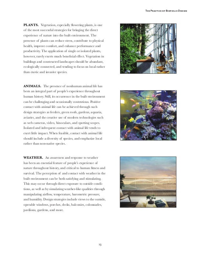 Practice of Biophilic Design