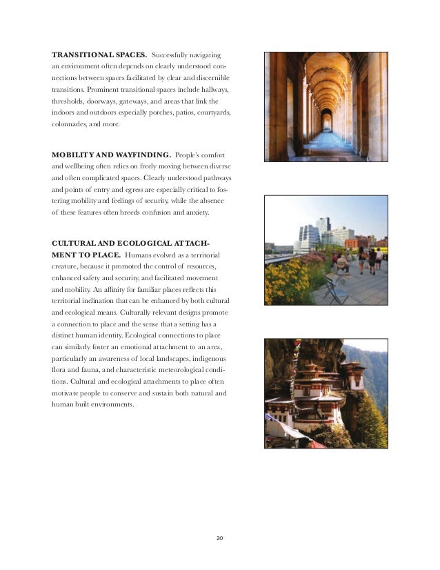 Practice of Biophilic Design