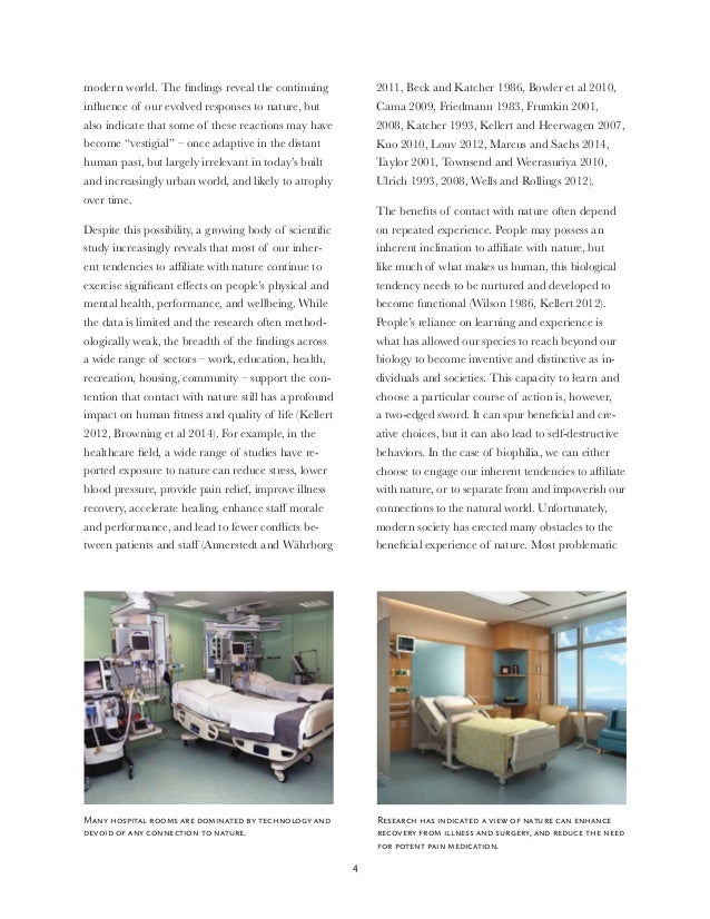 Practice of Biophilic Design