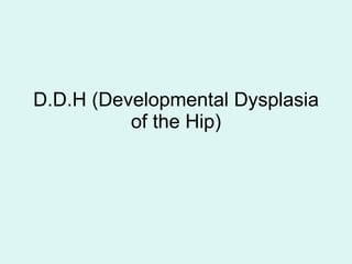 D.D.H (Developmental Dysplasia of the Hip) 