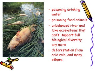 • poisoning drinking 
water 
• poisoning food animals 
• unbalanced river and 
lake ecosystems that 
can’t support full 
biological diversity 
any more 
• deforestation from 
acid rain, and many 
others. 
 