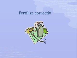 Fertilize correctly 
 