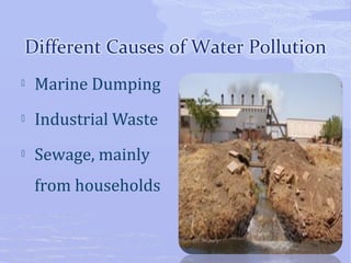  Marine Dumping 
 Industrial Waste 
 Sewage, mainly 
from households 
 