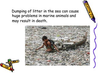 Dumping of litter in the sea can cause 
huge problems in marine animals and 
may result in death. 
 