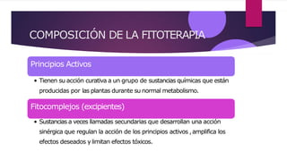 COMPOSICIÓN DE LA FITOTERAPIA
Principios Activos
• Tienen su acción curativa a un grupo de sustancias químicas que están
producidas por las plantas durante su normal metabolismo.
Fitocomplejos (excipientes)
• Sustancias a veces llamadas secundarias que desarrollan una acción
sinérgica que regulan la acción de los principios activos ,amplifica los
efectos deseados y limitan efectos tóxicos.
 