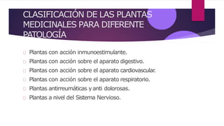 CLASIFICACIÓN DE LAS PLANTAS
MEDICINALES PARA DIFERENTE
PATOLOGÍA
Plantas con acción inmunoestimulante.
Plantas con acción sobre el aparato digestivo.
Plantas con acción sobre el aparato cardiovascular
.
Plantas con acción sobre el aparato respiratorio.
Plantas antirreumáticas yanti dolorosas.
Plantas a nivel del Sistema Nervioso.
 
