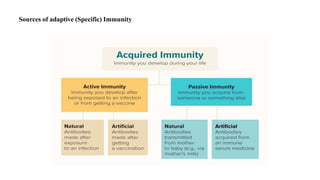 Define Specific Immunity (1) Definition of immunity at an advanced level.pptx