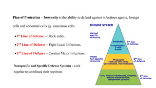 (1) Definition of immunity at an advanced level.pptx