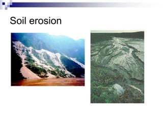 Soil erosion
 