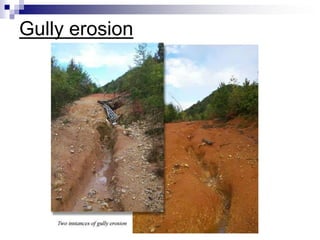 Gully erosion
 