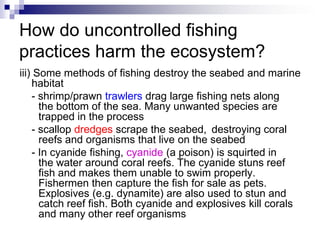 How do uncontrolled fishing
practices harm the ecosystem?
iii) Some methods of fishing destroy the seabed and marine
    habitat
    - shrimp/prawn trawlers drag large fishing nets along
      the bottom of the sea. Many unwanted species are
      trapped in the process
    - scallop dredges scrape the seabed, destroying coral
      reefs and organisms that live on the seabed
    - In cyanide fishing, cyanide (a poison) is squirted in
      the water around coral reefs. The cyanide stuns reef
      fish and makes them unable to swim properly.
      Fishermen then capture the fish for sale as pets.
      Explosives (e.g. dynamite) are also used to stun and
      catch reef fish. Both cyanide and explosives kill corals
      and many other reef organisms
 
