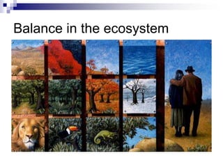 Balance in the ecosystem
 