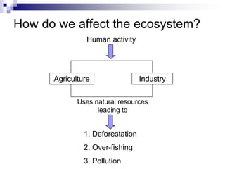 How do we affect the ecosystem?
                Human activity




      Agriculture                 Industry


             Uses natural resources
                   leading to


               1. Deforestation
               2. Over-fishing
               3. Pollution
 