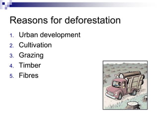 Reasons for deforestation
1.   Urban development
2.   Cultivation
3.   Grazing
4.   Timber
5.   Fibres
 