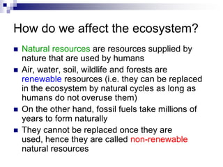 Chapter 22 Our Impact on the Ecosystem Lesson 1 - Deforestation ...