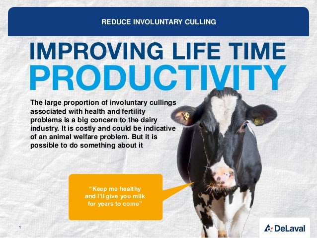 Why You Should Care About Extending The Lifetime Of Your Dairy Cows
