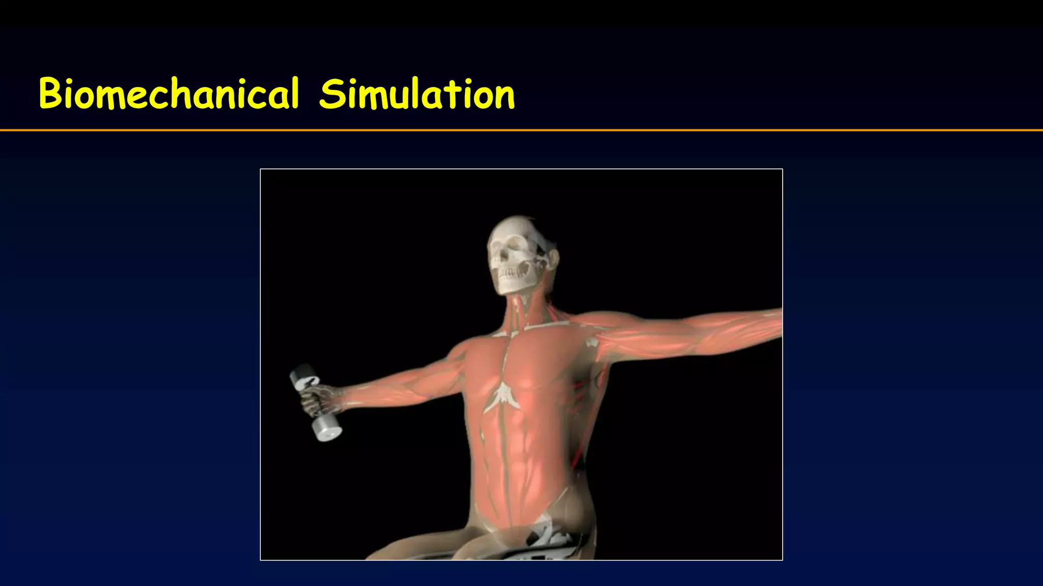 Biomechanical Simulation
 