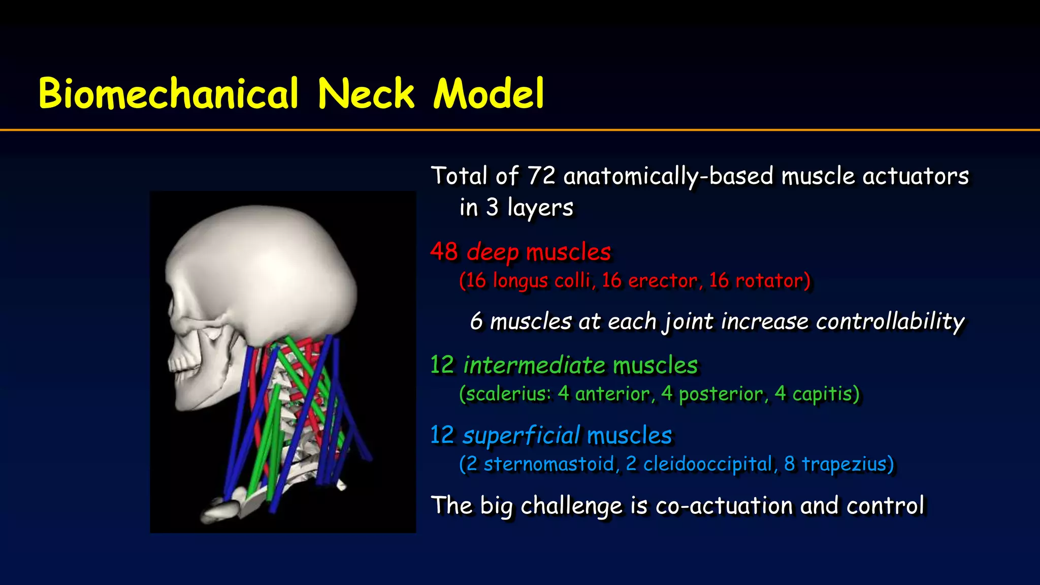 Biomechanical Neck Model
Total of 72 anatomically-based muscle actuators
in 3 layers
48 deep muscles
(16 longus colli, 16 erector, 16 rotator)
6 muscles at each joint increase controllability
12 intermediate muscles
(scalerius: 4 anterior, 4 posterior, 4 capitis)
12 superficial muscles
(2 sternomastoid, 2 cleidooccipital, 8 trapezius)
The big challenge is co-actuation and control
 