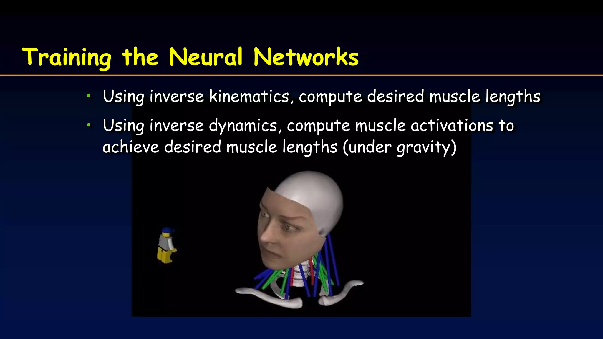 • Using inverse kinematics, compute desired muscle lengths
• Using inverse dynamics, compute muscle activations to
achieve desired muscle lengths (under gravity)
Training the Neural Networks
 