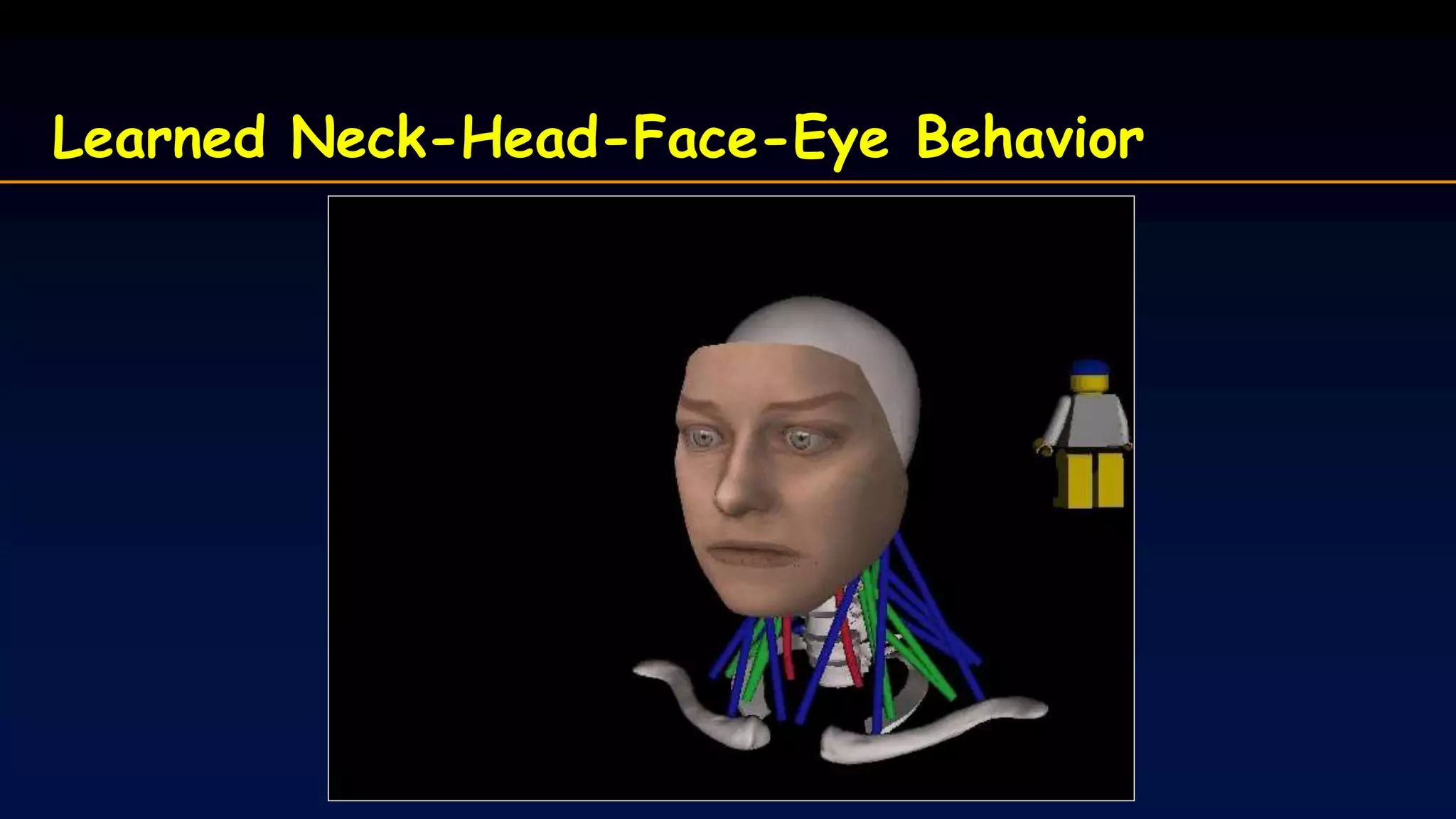 Learned Neck-Head-Face-Eye Behavior
 