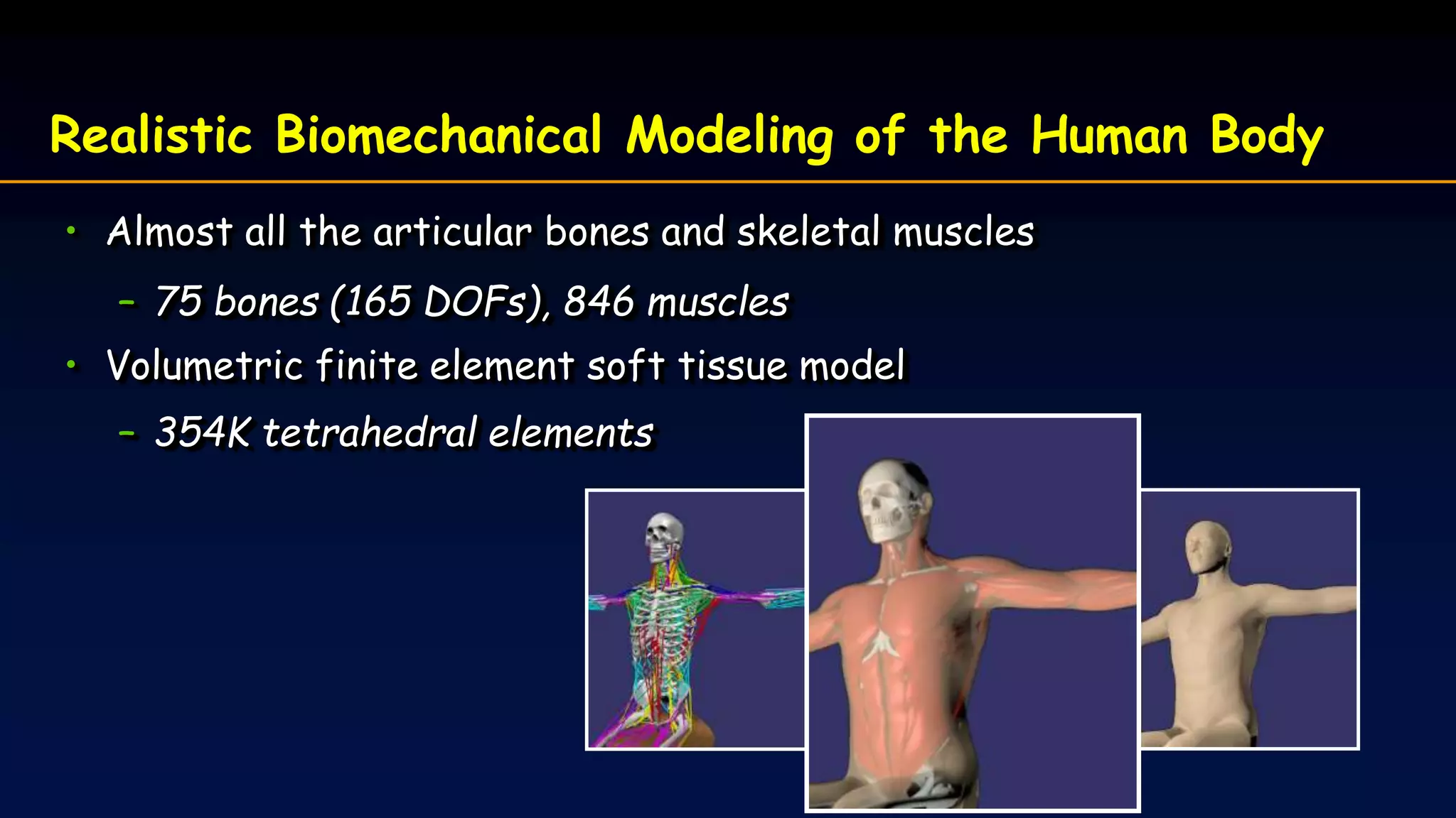 Realistic Biomechanical Modeling of the Human Body
• Almost all the articular bones and skeletal muscles
– 75 bones (165 DOFs), 846 muscles
• Volumetric finite element soft tissue model
– 354K tetrahedral elements
 