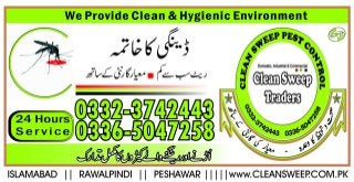 Dengue Spray Company Islamabad