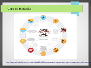 http://agenciabrasil.ebc.com.br/geral/noticia/2015-12/aedes-aegypti-conheca-historia-do-mosquito-no-brasil-e-suas-car
Ciclo do mosquito
 