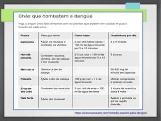 https://www.tuasaude.com/remedio-caseiro-para-dengue/
 