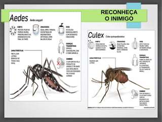RECONHEÇA
O INIMIGO
 