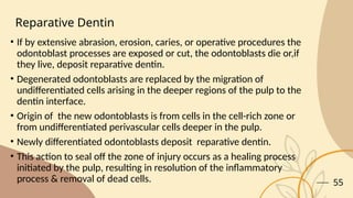 1) DENTIN & THE AGE CHANGES (dentistry.) | PPTX