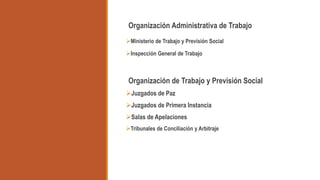 Organización Administrativa de Trabajo
Ministerio de Trabajo y Previsión Social
Inspección General de Trabajo
Organización de Trabajo y Previsión Social
Juzgados de Paz
Juzgados de Primera Instancia
Salas de Apelaciones
Tribunales de Conciliación y Arbitraje
 