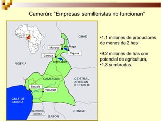 Desarrollo de sector semillerista con pequeñas empresas, Por Wilson Hugo - FAO