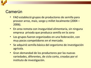 Desarrollo de sector semillerista con pequeñas empresas, Por Wilson Hugo - FAO