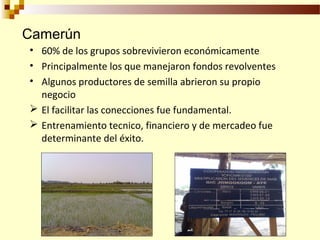 Desarrollo de sector semillerista con pequeñas empresas, Por Wilson Hugo - FAO