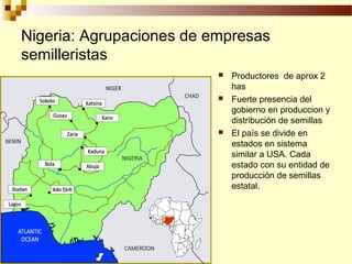 Desarrollo de sector semillerista con pequeñas empresas, Por Wilson Hugo - FAO