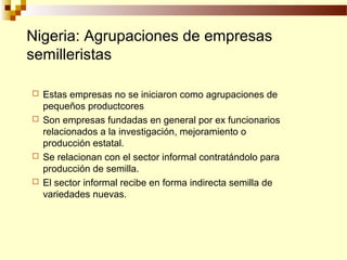 Desarrollo de sector semillerista con pequeñas empresas, Por Wilson Hugo - FAO