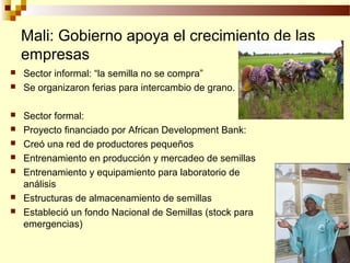 Desarrollo de sector semillerista con pequeñas empresas, Por Wilson Hugo - FAO
