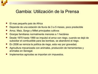 Desarrollo de sector semillerista con pequeñas empresas, Por Wilson Hugo - FAO