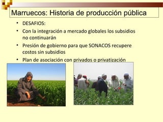 Desarrollo de sector semillerista con pequeñas empresas, Por Wilson Hugo - FAO