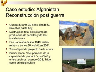 Desarrollo de sector semillerista con pequeñas empresas, Por Wilson Hugo - FAO