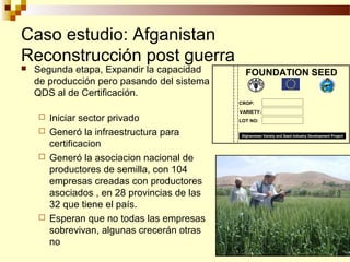 Desarrollo de sector semillerista con pequeñas empresas, Por Wilson Hugo - FAO