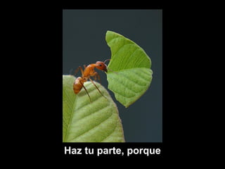 Haz tu parte, porque
 