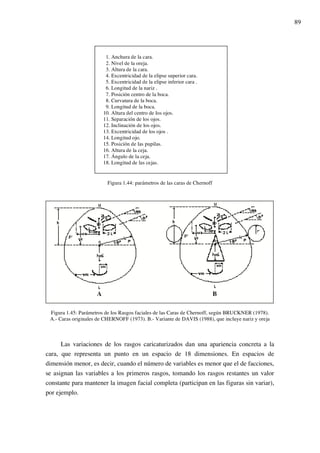 89
1. Anchura de la cara.
2. Nivel de la oreja.
3. Altura de la cara.
4. Excentricidad de la elipse superior cara.
5. Excentricidad de la elipse inferior cara .
6. Longitud de la nariz .
7. Posición centro de la boca.
8. Curvatura de la boca.
9. Longitud de la boca.
10. Altura del centro de los ojos.
11. Separación de los ojos.
12. Inclinación de los ojos.
13. Excentricidad de los ojos .
14. Longitud ojo.
15. Posición de las pupilas.
16. Altura de la ceja.
17. Ángulo de la ceja.
18. Longitud de las cejas.
Figura 1.44: parámetros de las caras de Chernoff
Figura 1.45: Parámetros de los Rasgos faciales de las Caras de Chernoff, según BRUCKNER (1978).
A.- Caras originales de CHERNOFF (1973). B.- Variante de DAVIS (1988), que incluye nariz y oreja
Las variaciones de los rasgos caricaturizados dan una apariencia concreta a la
cara, que representa un punto en un espacio de 18 dimensiones. En espacios de
dimensión menor, es decir, cuando el número de variables es menor que el de facciones,
se asignan las variables a los primeros rasgos, tomando los rasgos restantes un valor
constante para mantener la imagen facial completa (participan en las figuras sin variar),
por ejemplo.
 