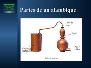 Partes de un alambique
 