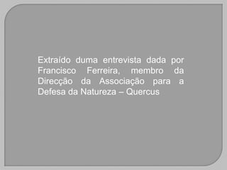 Extraído duma entrevista dada por
Francisco Ferreira, membro da
Direcção da Associação para a
Defesa da Natureza – Quercus
 
