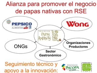 La biodiversidad de la papa como oportunidad para facilitar el acceso de pequeños productores a mejores mercados Slide 23
