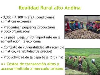 La biodiversidad de la papa como oportunidad para facilitar el acceso de pequeños productores a mejores mercados Slide 4