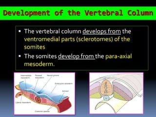 1) Development of Spinal Cord & Vertebral Col. 2017-2018.pdf