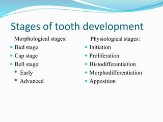 Stages of tooth development
Morphological stages:
 Bud stage
 Cap stage
 Bell stage:
* Early
* Advanced
Physiological stages:
 Initiation
 Proliferation
 Histodifferentiation
 Morphodifferentiation
 Apposition
 